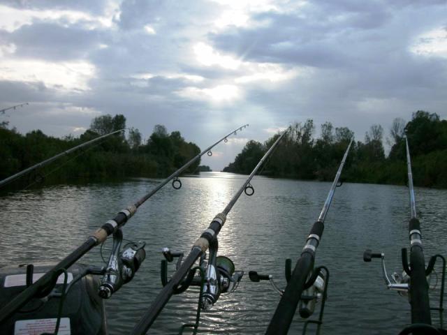 delta rosu 2012 - 2.jpg